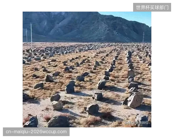主力门将谢纳维的稳定发挥是埃及队三中卫防线能够信赖的最后一道屏障。